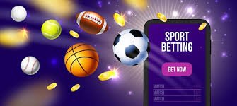 Struktur program loyalitas dan tier di platform dewacash